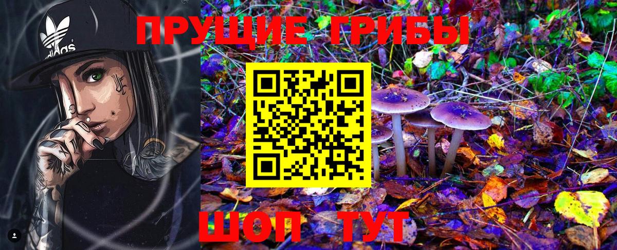 Псилоцибиновые грибы GOLDEN TEACHER Ишимбай