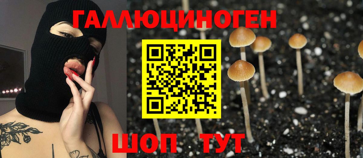 Псилоцибиновые грибы MAGIC MUSHROOMS  Псилоцибиновые грибы прущие грибы  Вход с VPN  Ишимбай 